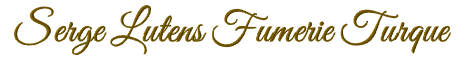 1760678536944.png