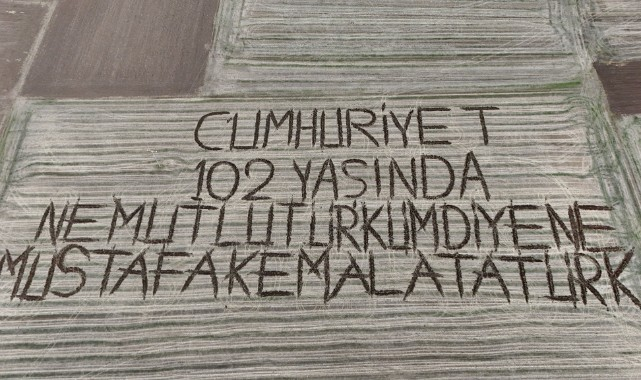 1761725555514.png 1761725555514.png