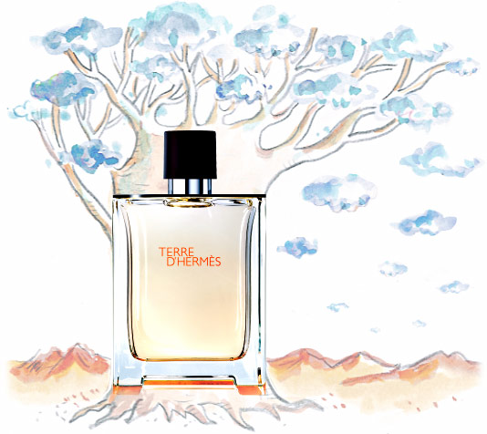 hermes terre d'hermès edt.jpg
