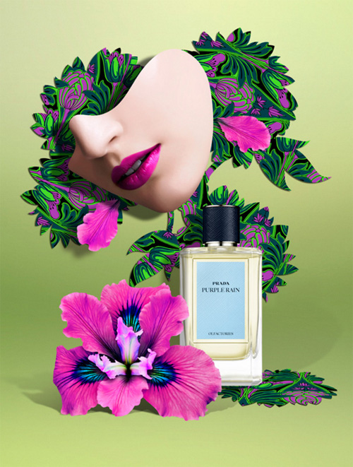 prada-olfactories-purple-rain-fragrance.jpg