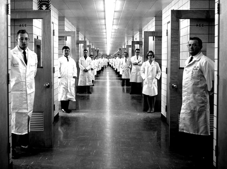 SAARINEN’S LAST EXPERIMENT.jpeg