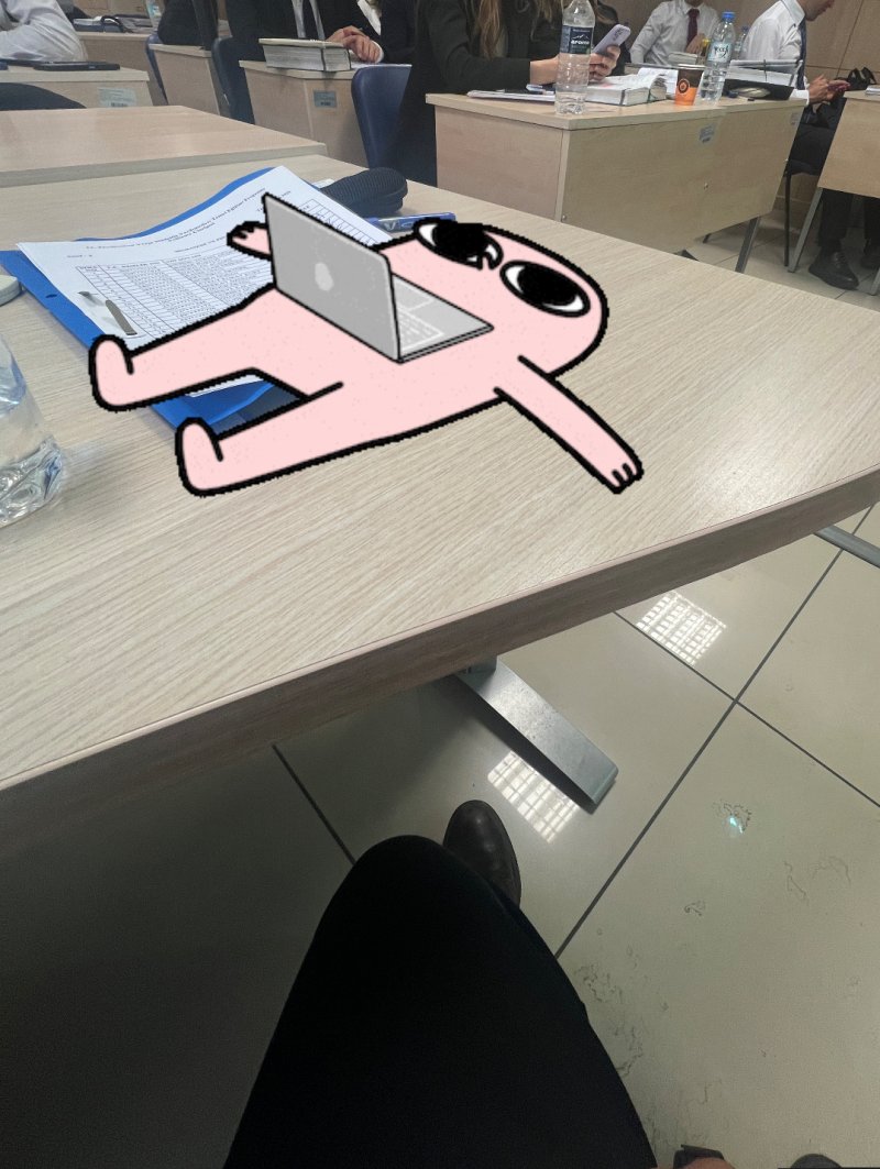 IMG_5313.jpeg